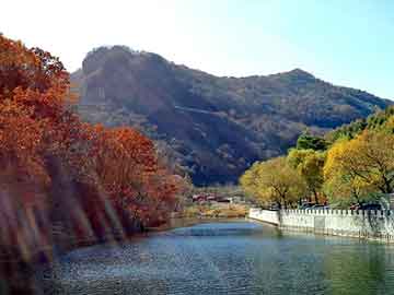 莱芜市委书记，飞鸟泛目录